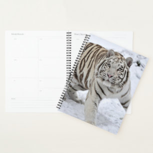 Agenda Tigre blanco