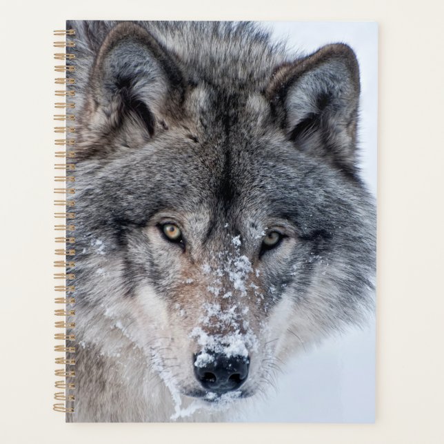 Agenda Timber Wolf  (Anverso)