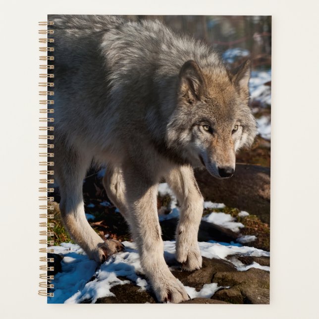 Agenda Timber Wolf (Anverso)