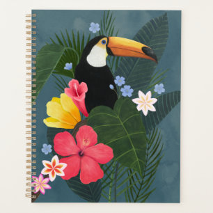 Agenda Tócano tropical en la selva