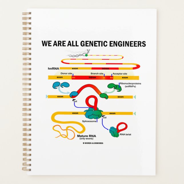 Agenda Todos Somos Ingenieros Genéticos RNA Splicando Hum (Anverso)