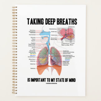 Agenda Tomar Respiraciones Profundas Es Importante Para M