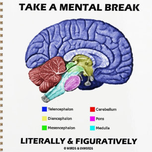 Agenda Tomar Una Pausa Mental Literal Y Figurativamente