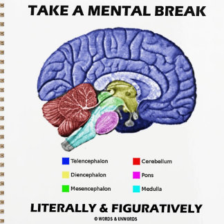 Agenda Tomar Una Pausa Mental Literal Y Figurativamente