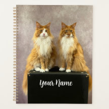 Tony y Teddy Standard Planner