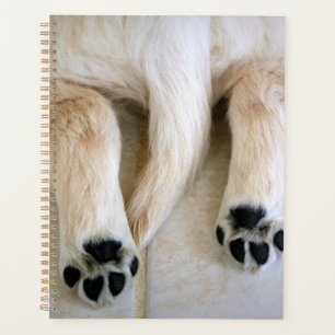 Agenda Toques de Cachorro de Golden Retriever