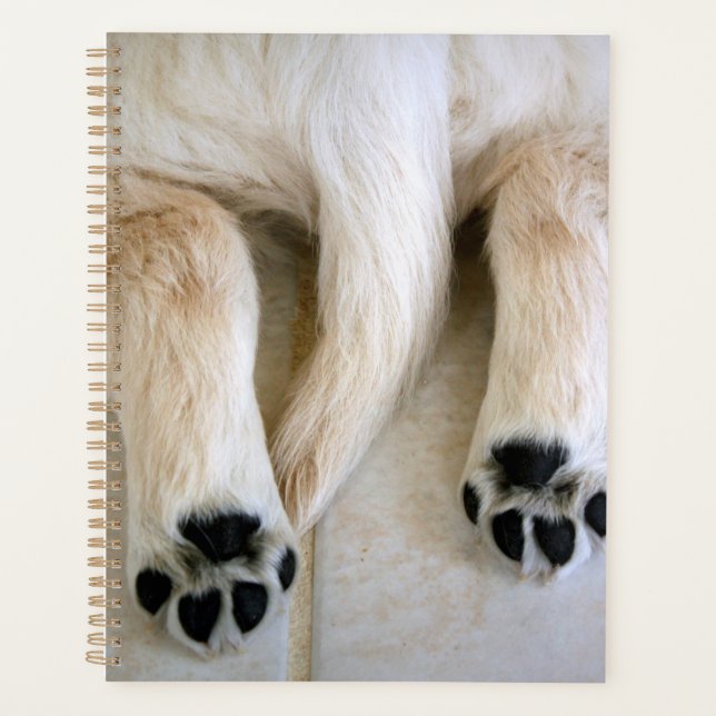 Agenda Toques de Cachorro de Golden Retriever (Anverso)