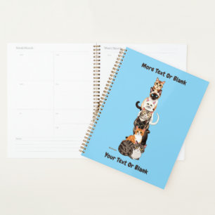 Agenda Torre felina del pilar del gato