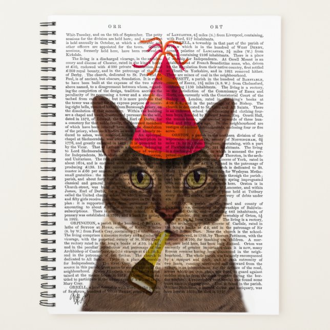 Agenda Tortoiseshell Cat con Gorra Fiesta (Anverso)