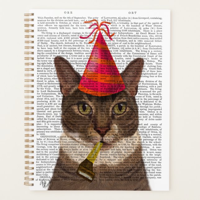 Agenda Tortoiseshell Cat con Gorra Fiesta (Anverso)