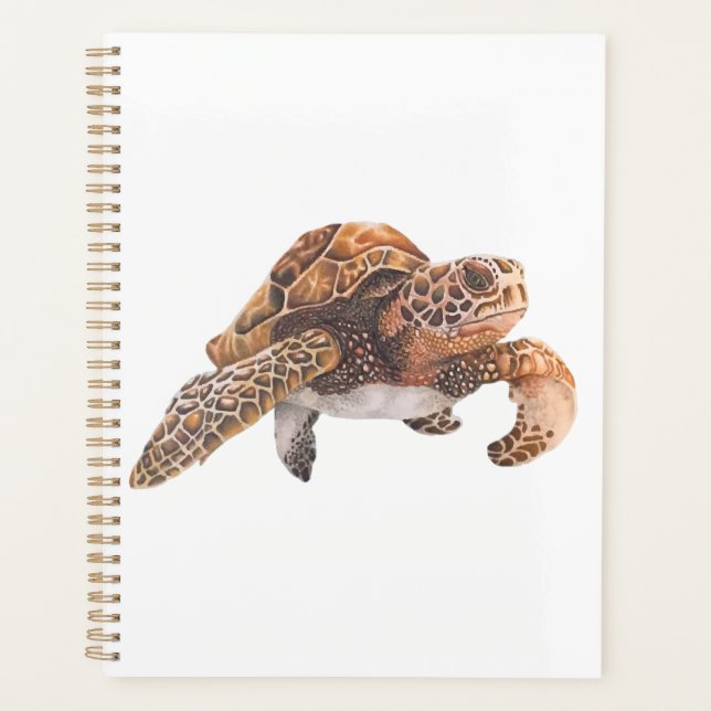 Agenda Tortuga Copiar Copiar Copiar Copiar Copiar Copiar  (Anverso)