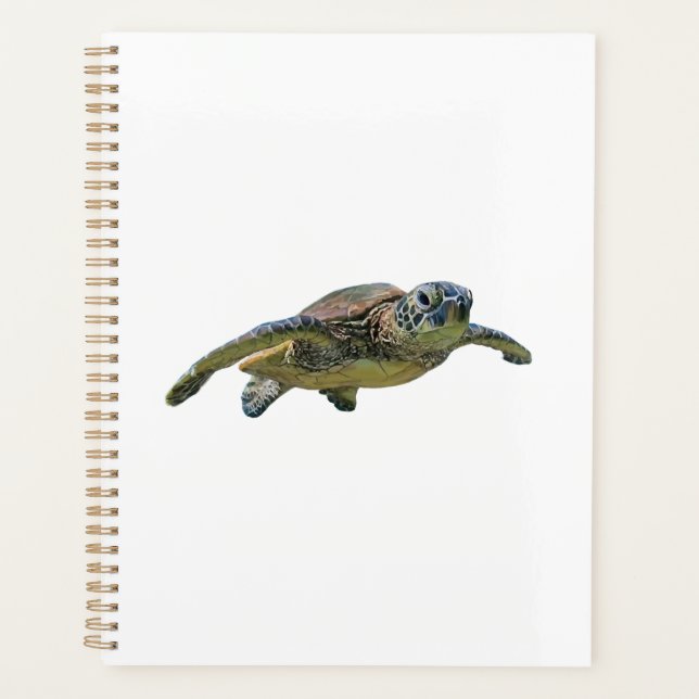 Agenda Tortuga Copiar Copiar Copiar Copiar Copiar Copiar  (Anverso)