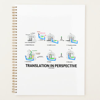 Agenda Traducción en perspectiva Proteína de biología de 