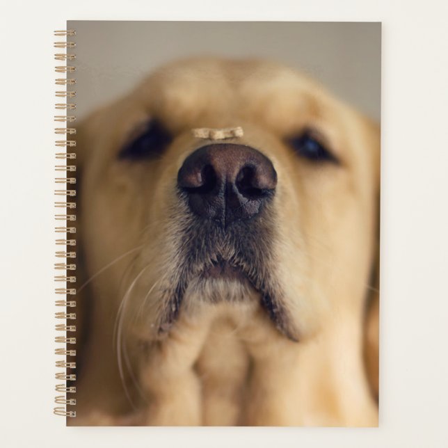 Agenda Tratado de equilibrio del recuperador de oro en la (Anverso)