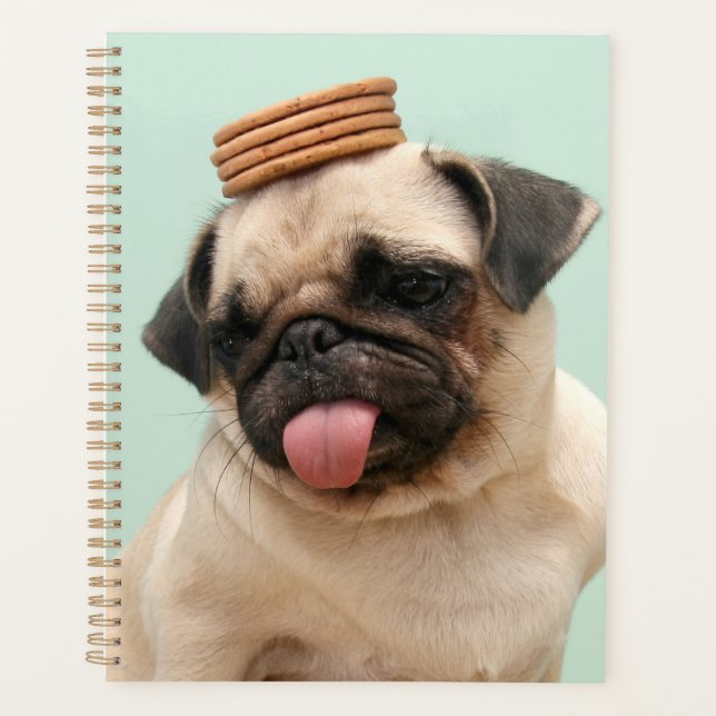 Agenda Tratamientos de Pug Wants (Anverso)