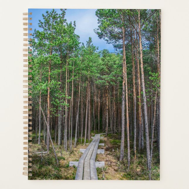 Agenda Trayectoria de madera en bosque de pinos (Anverso)