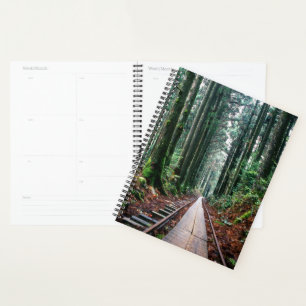 Agenda Tren pistas en el bosque