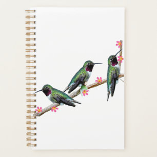Agenda Tres colibríes en la rama Silencio perenne