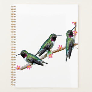 Agenda Tres colibríes en la rama Silencio perenne