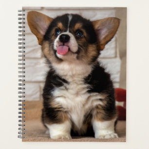 Agenda Triple color Pembroke Welsh Corgi Puppy Dog