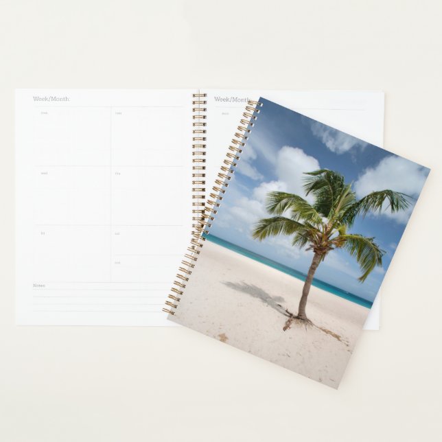 Agenda Tropical Beaches | Eagle Beach, Aruba (Demostración)