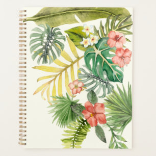 Agenda Tropicales suaves