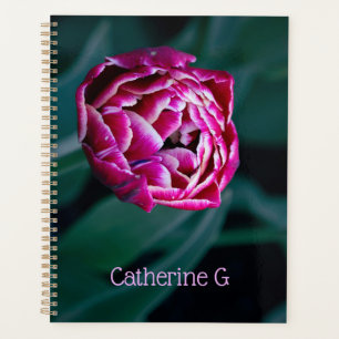 Agenda Tulip de moody rosa