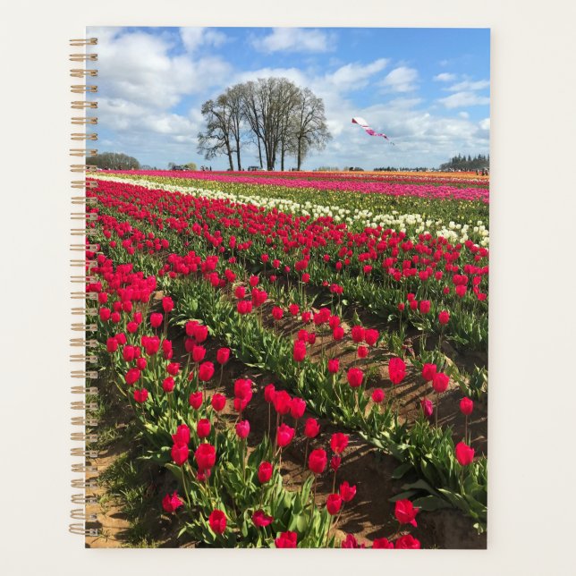 Agenda Tulip Field con cometa, Oregón (Anverso)