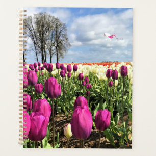 Agenda Tulip Field con cometa, Oregón