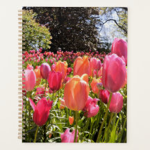 Tulip Garden Planner