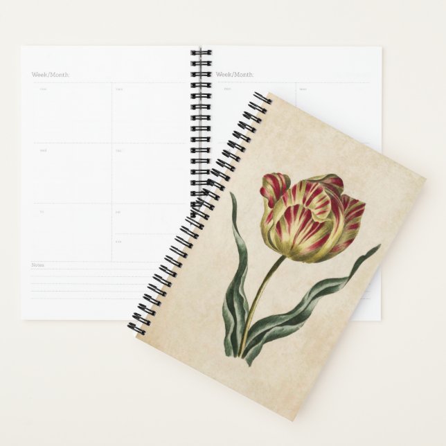 Agenda Tulipán Floral Botánico Vintage (Demostración)