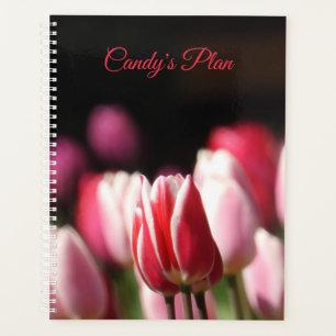Agenda Tulipán rojo y blanco