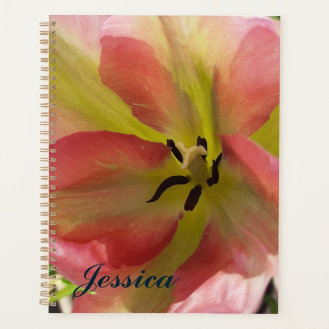 Agenda Tulipán rosa y amarillo (Anverso)
