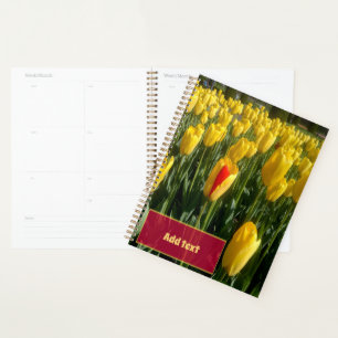 Agenda Tulipanes amarillos