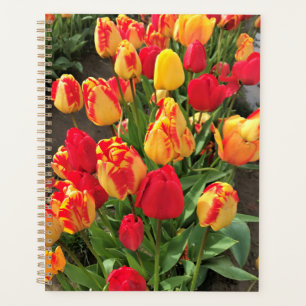 Agenda Tulipanes amarillos y rojos