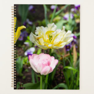 Agenda Tulipanes blancos, rosas y amarillos en el jardín