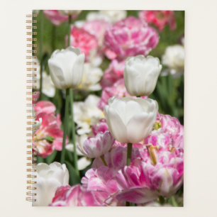 Agenda Tulipanes blancos y rosas brillantes en un día sol
