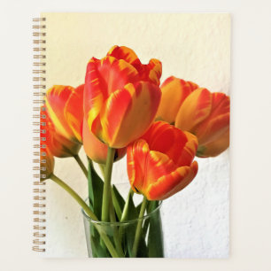 Agenda Tulipanes de Banja Luka