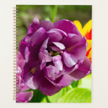 Tulipanes de Lilac en un día soleado