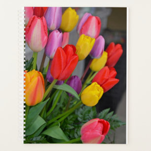 Agenda Tulipanes de primavera coloridos