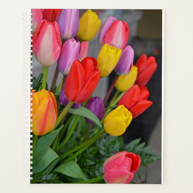 Agenda Tulipanes de primavera coloridos (Anverso)
