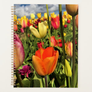 Agenda Tulipanes de primavera coloridos
