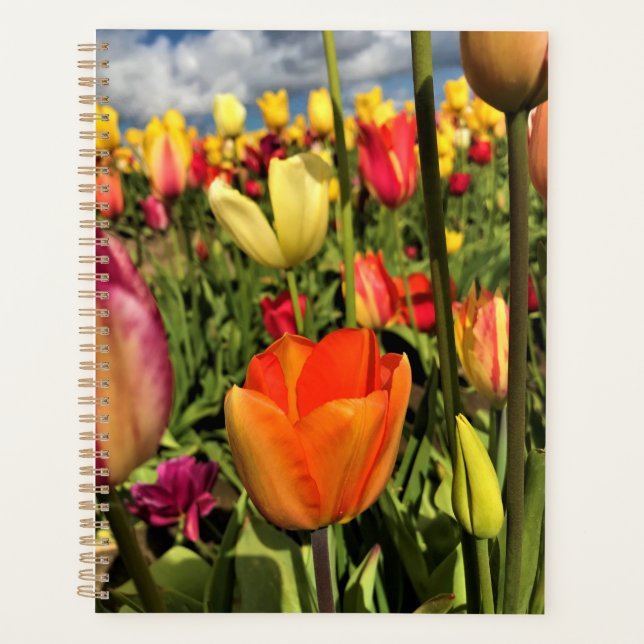 Agenda Tulipanes de primavera coloridos (Anverso)