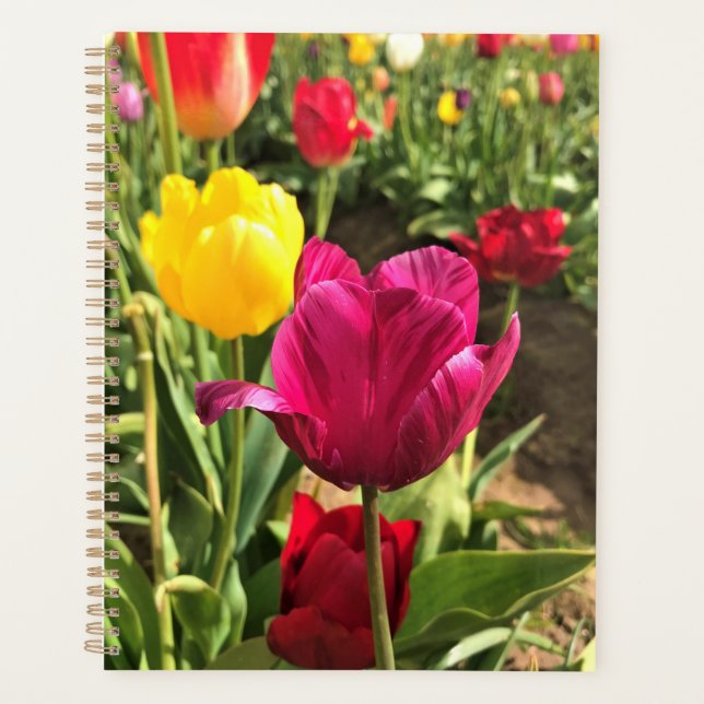 Agenda Tulipanes de primavera, Oregón (Anverso)