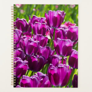 Agenda Tulipanes lilacos brillantes en un día soleado