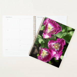 Agenda Tulipanes morados en el jardín