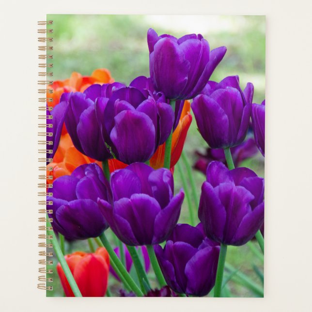 Agenda Tulipanes morados en un día soleado en el jardín (Anverso)