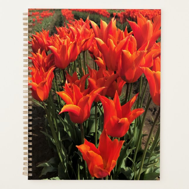Agenda Tulipanes naranjas, Oregon (Anverso)