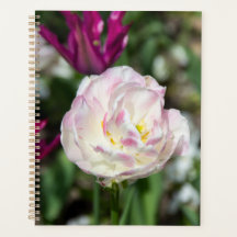 Tulipanes rosa brillante en un día soleado