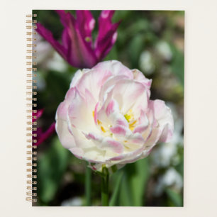 Agenda Tulipanes rosa brillante en un día soleado